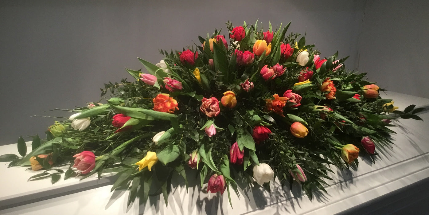 Multicolor tulipaner